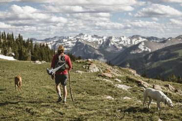 Rückansicht eines männlichen Wanderers mit Hunden beim Wandern auf einem Berg gegen einen bewölkten Himmel an einem sonnigen Tag - CAVF62430