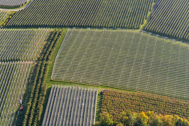 Deutschland, Luftaufnahme von Obstplantagen bei Ailingen - SH02078
