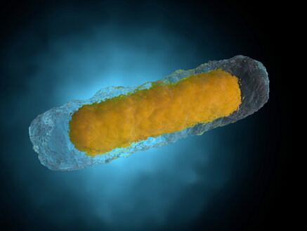 3D gerenderte Illustration einer generischen Bakterie - SPCF00368