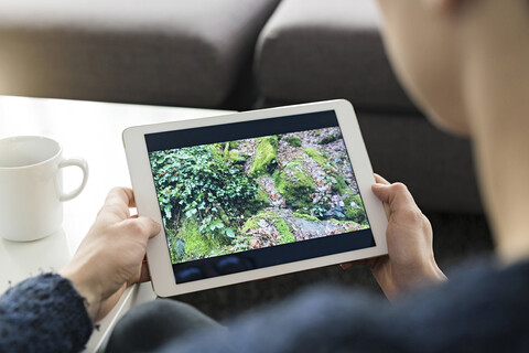 Frau betrachtet ein Foto auf einem digitalen Tablet, Teilansicht, lizenzfreies Stockfoto