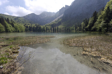 Germany, Upper Bavaria, Lake Frillensee - ZCF00696