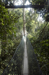 Malaysia, Borneo, Sabah, Kinabalu Park, Fotografin beim Canopy Walk - ZCF00700