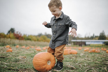 In voller Länge von niedlichen Jungen spielen mit Kürbis auf Feld im Herbst - CAVF62814