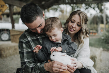Niedlicher Sohn berührt Kaninchen, während er mit seinen Eltern auf dem Bauernhof sitzt - CAVF62824