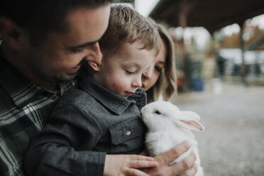 Nahaufnahme des niedlichen Sohnes, der mit dem Kaninchen der Eltern auf dem Bauernhof spielt - CAVF62826