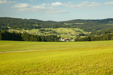 Österreich, Oberösterreich, Bad Leonfelden, Mühlviertel, Sternwald - AIF00603