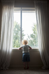 Rear view of baby boy looking through window at home - CAVF62923