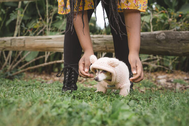 Tiefschnitt eines Mädchens mit süßem Chihuahua auf einer Wiese im Park - CAVF62937