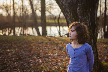 Thoughtful boy looking away while standing against tree trunk in park during autumn at sunset - CAVF62940