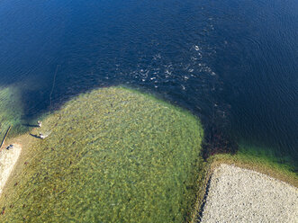 Kanada, British Columbia, Luftaufnahme des Adams River während der Lachswanderung - GNF01428