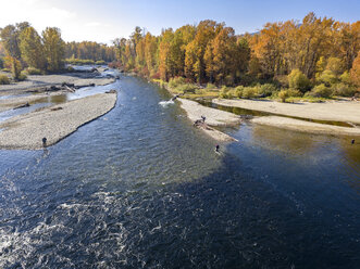 Kanada, British Columbia, Luftaufnahme des Adams River während der Lachswanderung im Herbst - GNF01429