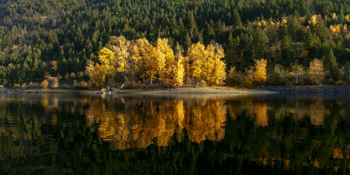 Kanada, British Columbia, Shuswap Lake im Herbst - GNF01431