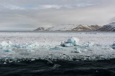 Packeis, Wahlenberg Fjord, Nordaustlandet, Svalbard, Norwegen - ISF21004