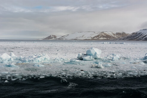 Pack ice, Wahlenberg fjord, Nordaustlandet, Svalbard, Norway - ISF21004