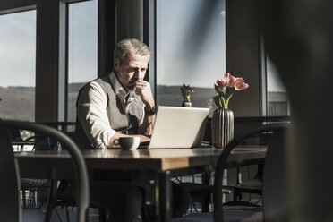 Älterer Geschäftsmann mit Laptop im Büro - UUF16671