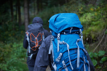Junges Wanderpaar wandert mit Rucksäcken durch den Wald, Rückansicht, Manigod, Rhone-Alpes, Frankreich - CUF49540