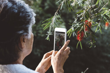 Seitenansicht einer Frau, die mit ihrem Smartphone im Garten Pflanzen fotografiert - CAVF63039