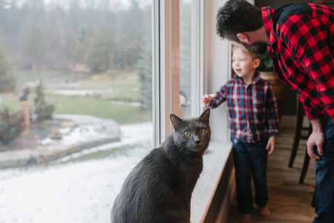 Vater und Sohn unterhalten sich zu Hause am Fenster, lizenzfreies Stockfoto