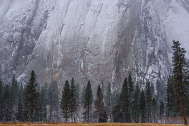 Großwandklettern am El Capitan, Yosemite-Nationalpark, Kalifornien, USA - ISF21025