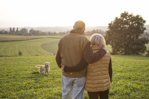 Rückansicht eines glücklichen älteren Paares, das Arm in Arm auf einer Wiese steht und den Sonnenuntergang genießt, lizenzfreies Stockfoto