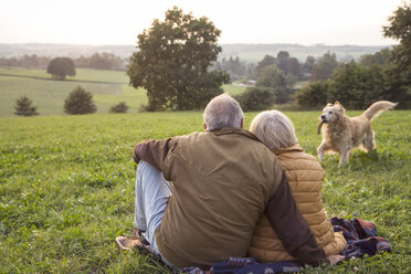 Rückenansicht eines älteren Paares, das bei Sonnenuntergang auf einer Wiese sitzt und seinem Hund beim Spielen zusieht - MAMF00480