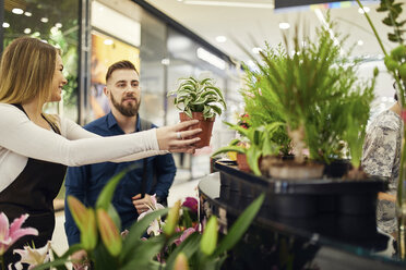 Kunde wählt Topfpflanze im Blumenladen aus - ZEDF01962