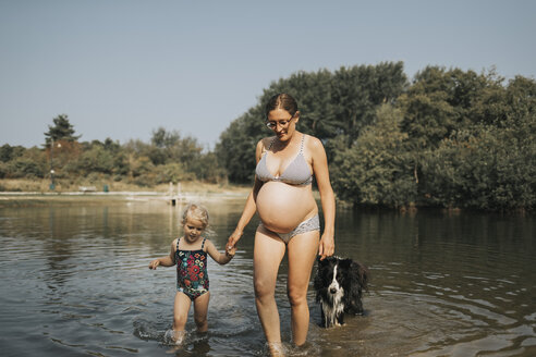 Niederlande, Schiermonnikoog, schwangere Mutter mit Tochter und Border Collie in einem See - DWF00329