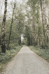 Niederlande, Schiermonnikoog, Weg durch den Wald - DWF00341