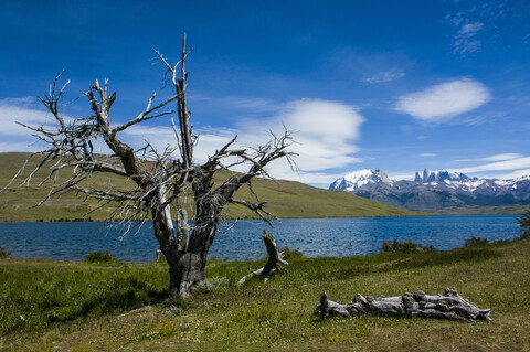 Chile, Patagonien, Torres del Paine National Park, Gletschersee mit Bergen im Hintergrund, lizenzfreies Stockfoto