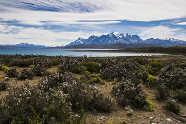 Chile, Patagonien, Torres del Paine National Park, landschaftlich reizvoll - RUNF01490