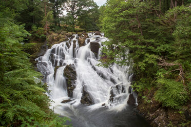 Swallow Falls am Afon Llugwy in der Nähe von Betws-y-Coed, Snowdonia National Park, Wales, UK - CUF49733