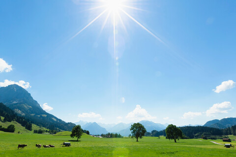 Sonniger Tag auf dem Lande, Sonthofen, Bayern, Deutschland, lizenzfreies Stockfoto