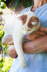 Woman carrying cat in countryside - CUF49890