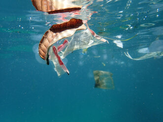 Plastic waste floating in the sea - GNF01464