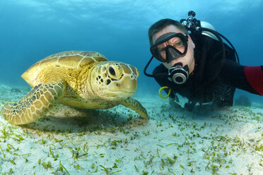 Scuba diver with Green Sea Turtle, Chelonia mydas - GNF01504