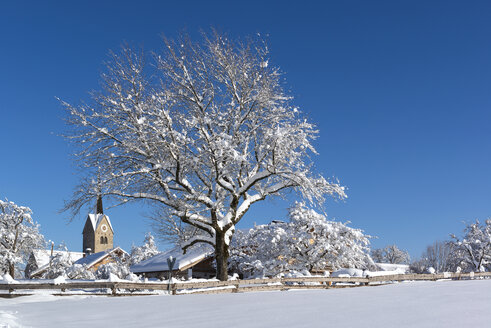 Deutschland, Oberbayern, Peretshofen, Winterlandschaft - LHF00608