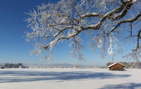 Deutschland, Oberbayern, Benediktbeuern, Winterlandschaft, lizenzfreies Stockfoto