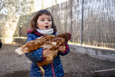 Portrait of amazed toddler girl holding chicken - GEMF02903