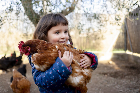 Portrait of smiling toddler girl holding chicken stock photo