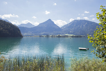 Österreich, Alpen, Salzburg, Salzkammergut, Salzburger Land, Wolfgangsee - GWF05991