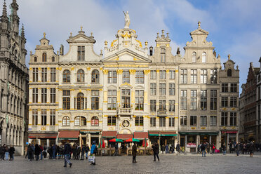 Belgium, Brussels, Grand Place, guild houses - WIF03865
