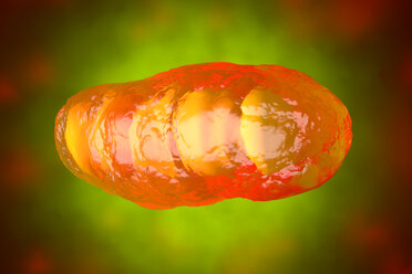 3D rendered Illustration, visualisation of a Mitochondrion, organelle - SPCF00376