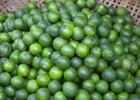 Korb mit Limetten, lizenzfreies Stockfoto