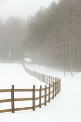 Zaun auf der Weide im Schnee - MINF10604