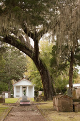 Tolomato-Friedhof in St. Augustine - MINF10607