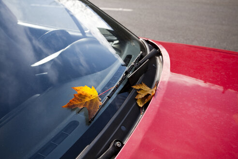Blatt auf der Windschutzscheibe eines roten Autos - MINF10621