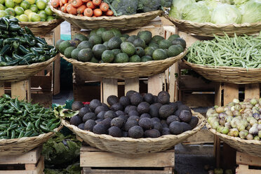 Baskets of Fruits & Vegetables - MINF10654