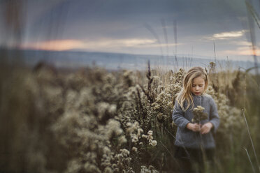 Nettes Mädchen hält Blumen und steht inmitten von Pflanzen auf einem Feld bei Sonnenuntergang - CAVF63240