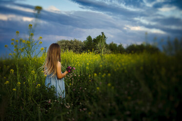 Rückansicht eines Mädchens, das Blumen pflückt, während es inmitten von Pflanzen auf einem Feld vor einem bewölkten Himmel steht - CAVF63241