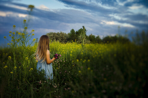 Rear view of girl picking flowers while standing amidst plants on field against cloudy sky - CAVF63241